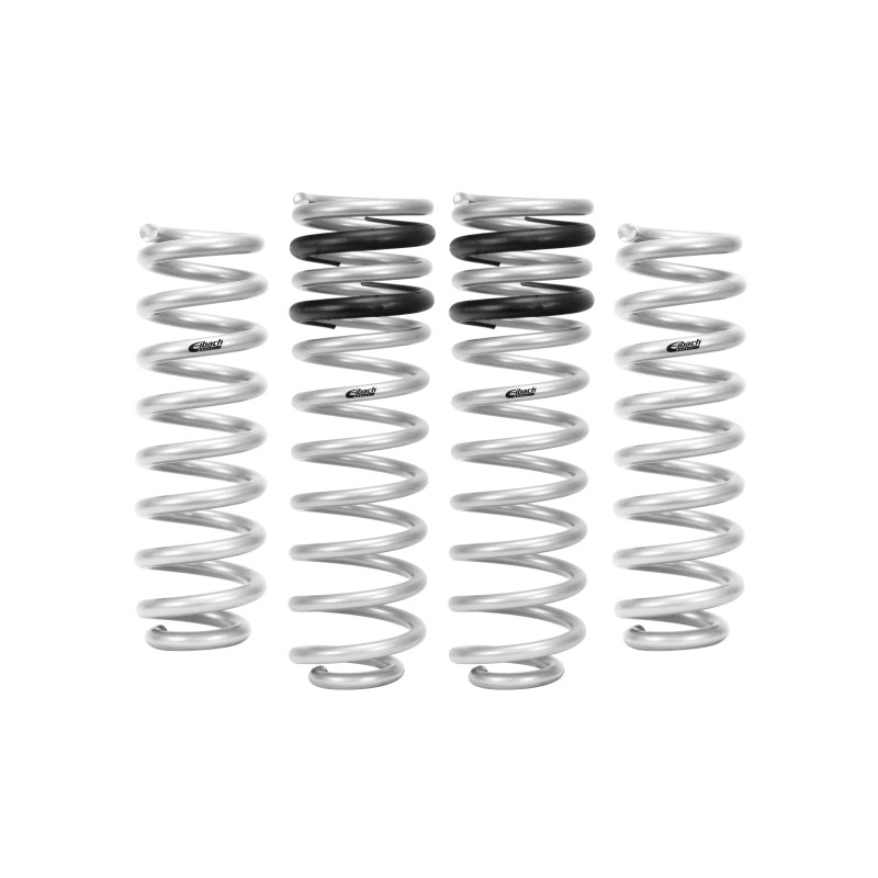 Eibach 09-10 Dodge Ram 1500 Pro-Lift-Kit Springs (Front & Rear Springs)