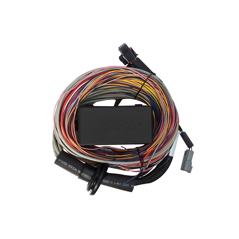 Haltech Elite 750 8ft Premium Universal Wire-In Harness